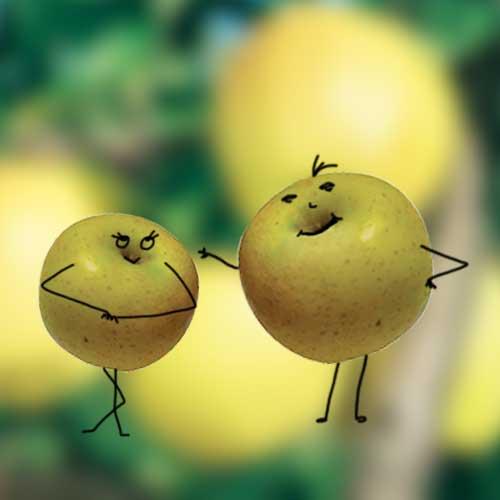 Le fruit du mois d'octobre : la pomme Le fruit du mois d'octobre : la pomme