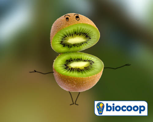En mars venez goûter le kiwi ! En mars venez goûter le kiwi !